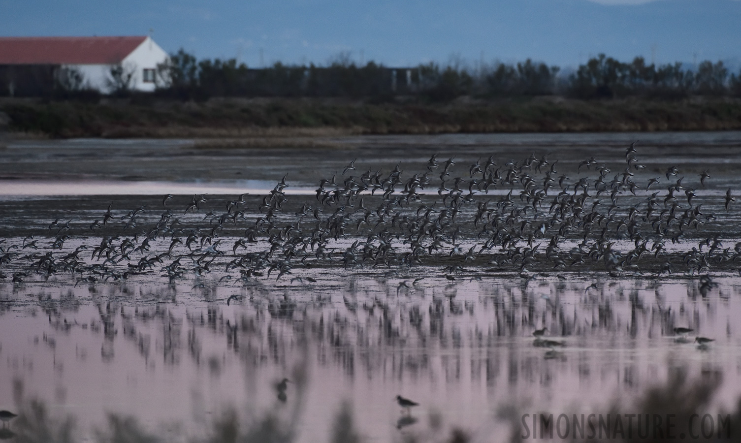 [400 mm, 1/500 sec at f / 6.3, ISO 3200]